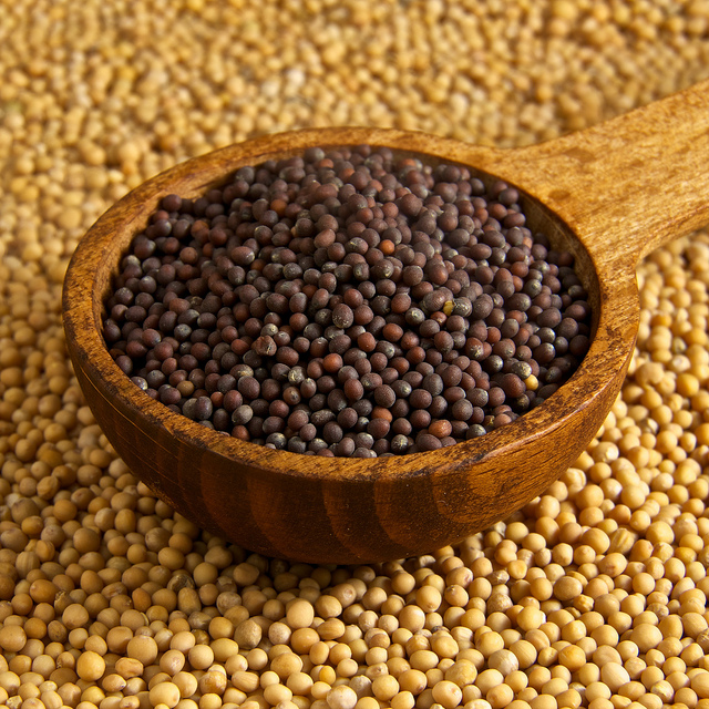 Mustard seed