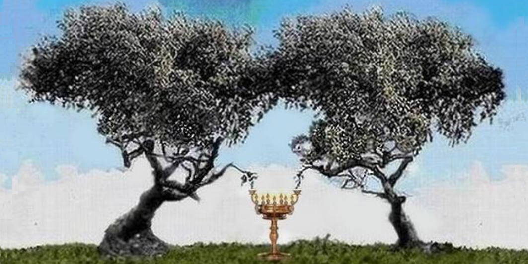 Two witnesses are two trees